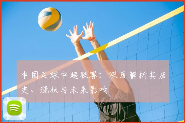 中国足球中超联赛:深度解析其历史、现状与未来影响