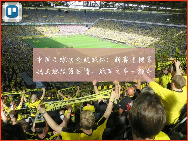 中国足球协会超级杯:新赛季揭幕战点燃绿茵激情,冠军之争一触即发