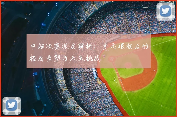 中超联赛深度解析:金元退潮后的格局重塑与未来挑战