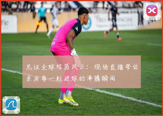 见证全球绿茵风云:现场直播带你亲历每一粒进球的沸腾瞬间